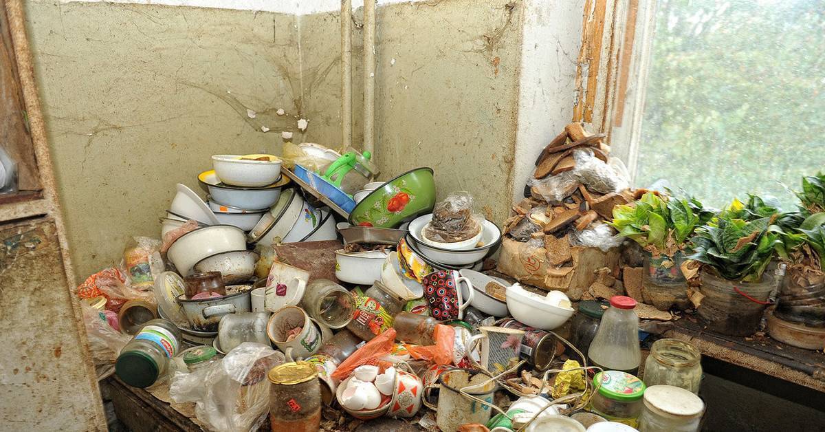 Самые загрязненные микробами места и вещи в квартире