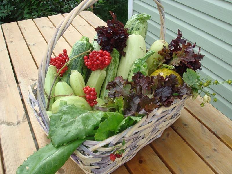 Цветы, лебедь, украшения из овощей и фруктов. пошагово с фото карвинг