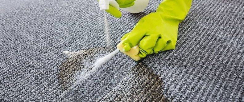 Как почистить ковролин в домашних условиях: правила ухода и способы по чистке ковролина, не снимая с пола