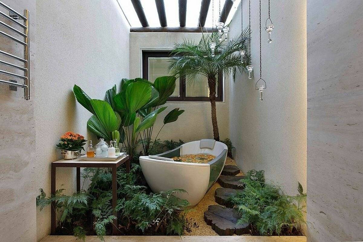10 лучших растений для ванной комнаты. | tobehome.ru
