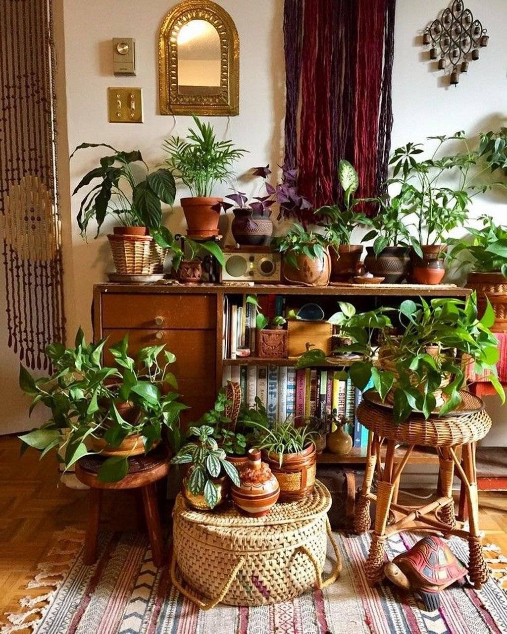 Комнатные растения в интерьерах в подборке на 65 фото