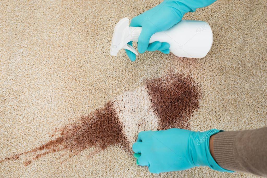 Как быстро почистить ковер в домашних условиях: советы по чистке, народные средства