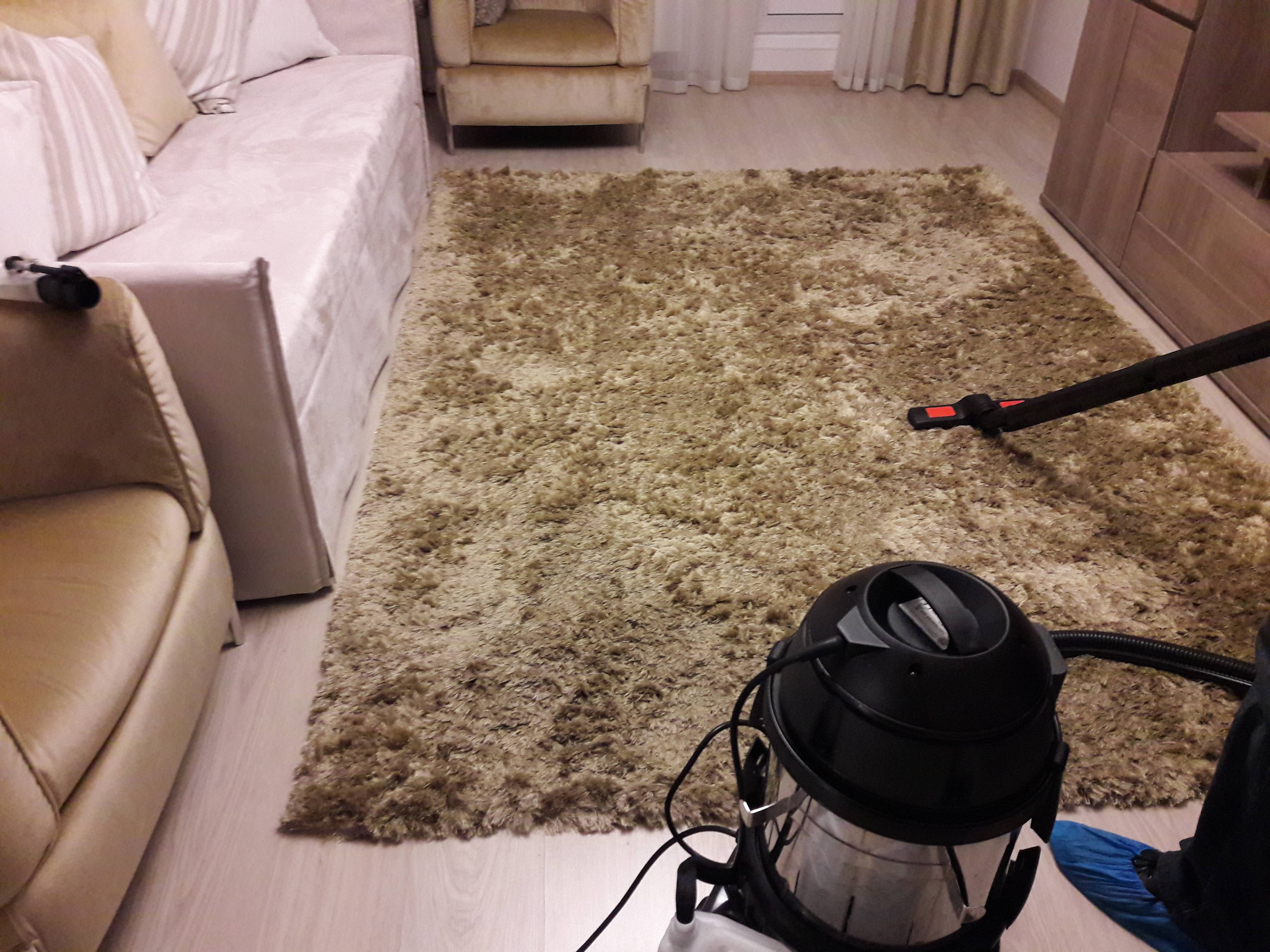 Уход за ковролином с высоким ворсом в домашних условиях – чистка и правила ухода