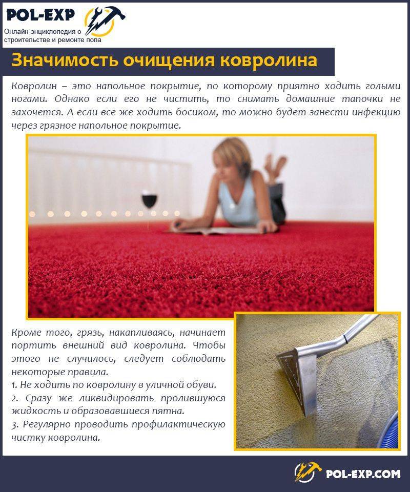 Как почистить ковровое покрытие — рассказываем подробно