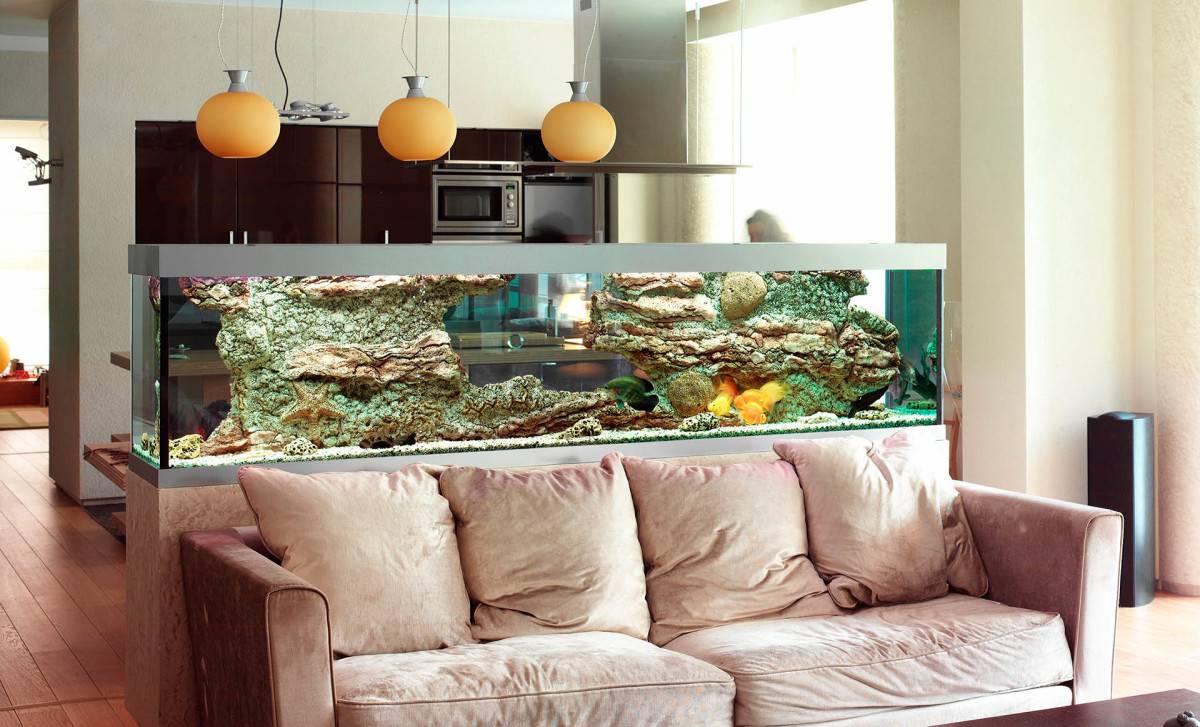 Куда поставить аквариум в квартире?