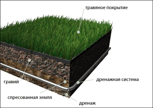 Покрытия для футбола - укладка натурального газона и искусственной травы