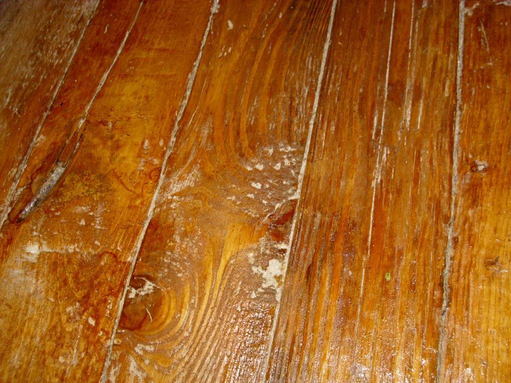Покраска деревянного пола: пошаговые инструкции