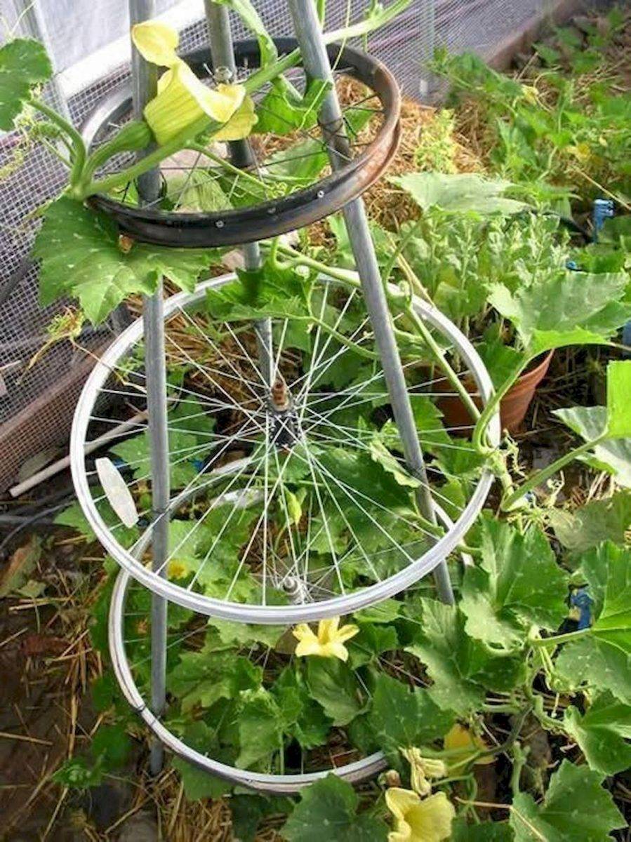 Клумба и садовые композиции из старых велосипедов в 2021 году
