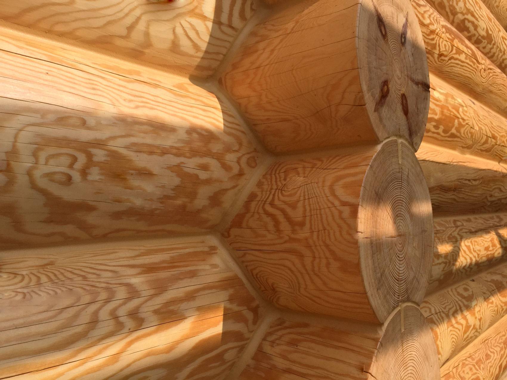 Герметик для деревянного дома – подбираем надежную герметизацию швов для дерева + видео