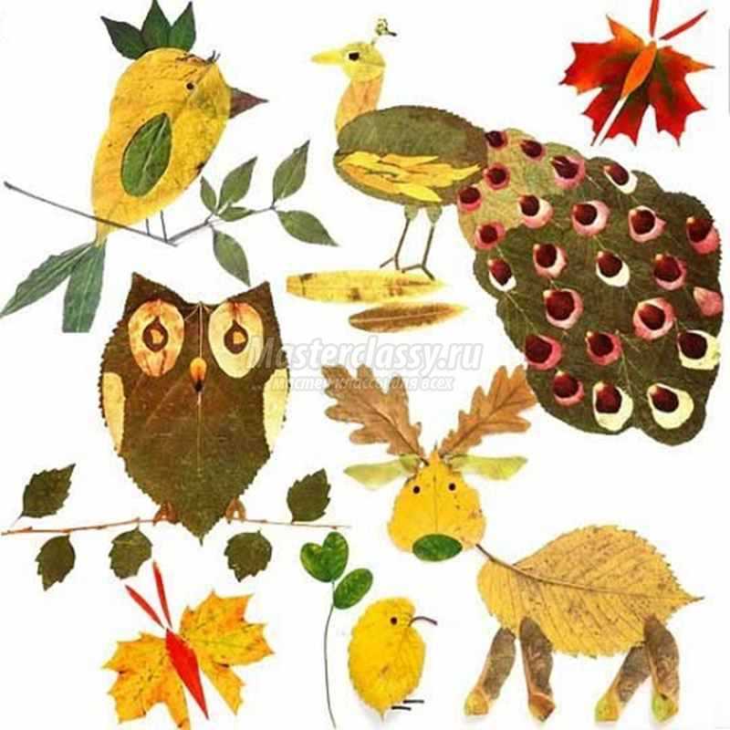 Поделки из кленовых листьев и семян-вертолетиков на тему осень для детского сада и школы. как сделать венок, букет, корону из листьев клена своими руками?