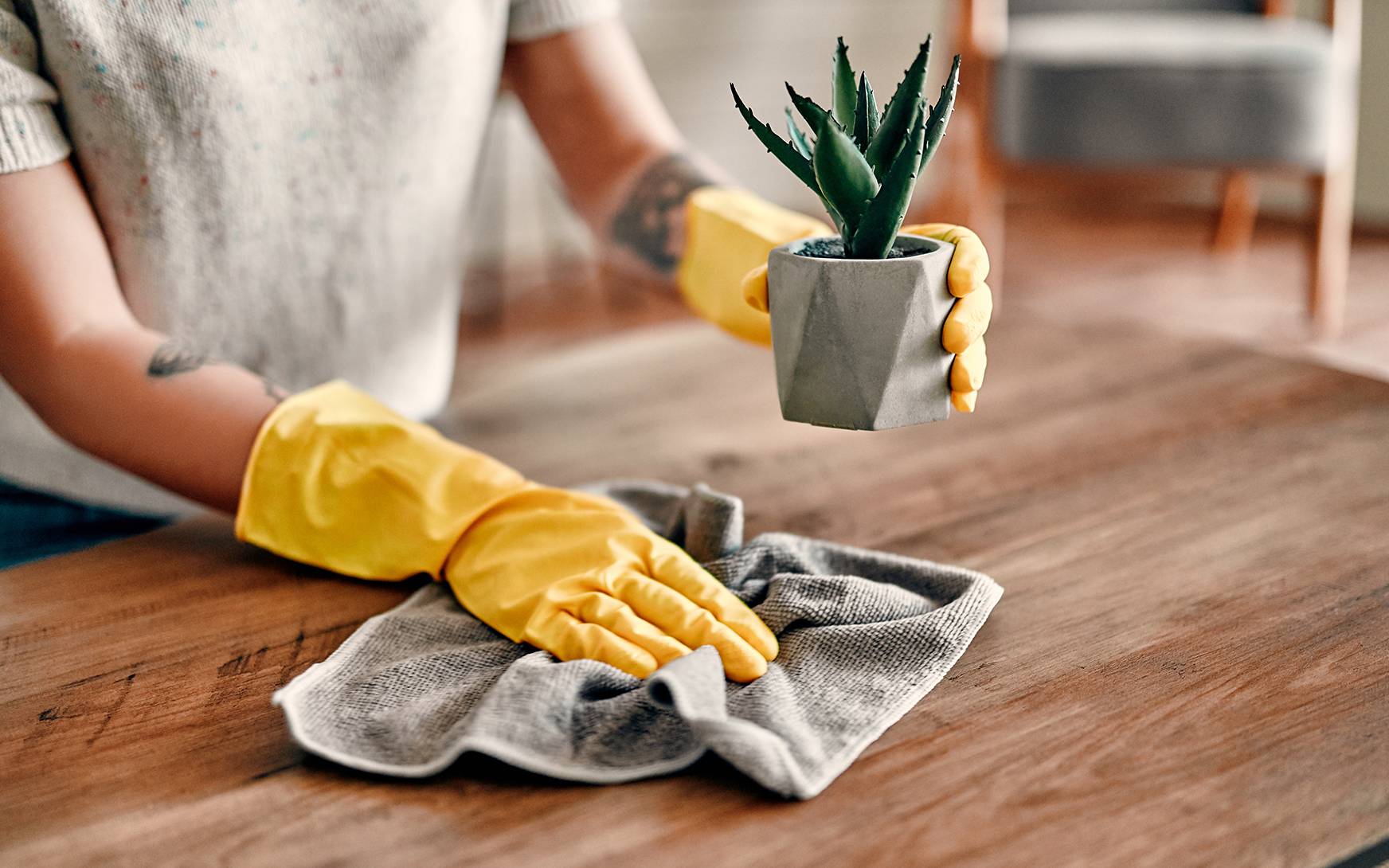 Как уменьшить количество пыли в квартире, чтобы реже убираться? – 7 работающих советов, которые пригодятся даже опытной хозяйке