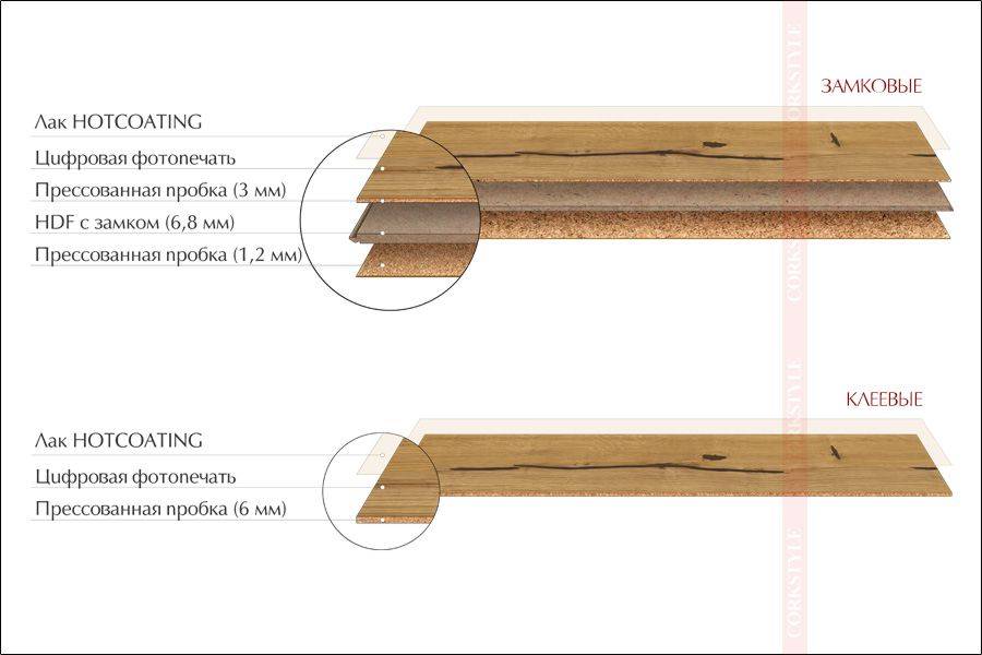 Пробковая подложка под ламинат: особенности и характеристики материала