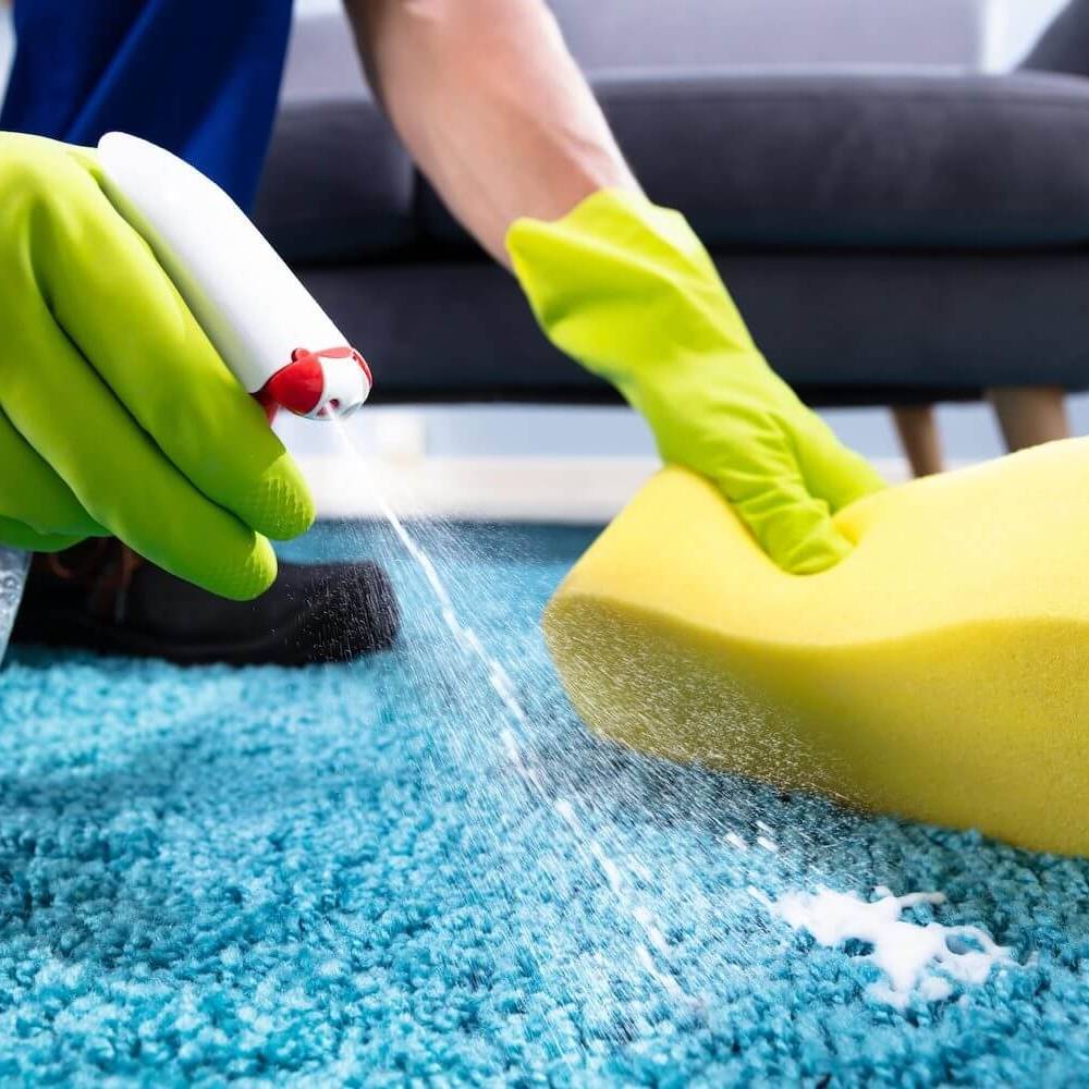 Как почистить ковер в домашних условиях быстро и эффективно — life-sup.ru