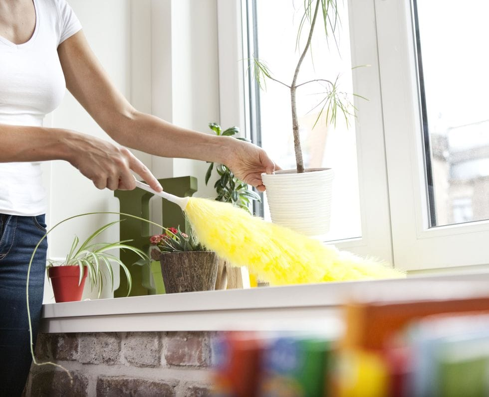 Как избавиться от пыли в квартире надолго - полезные советы