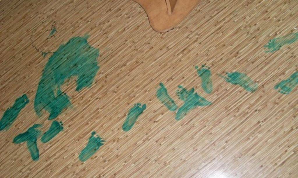 Чем отмыть зеленку с линолеума в домашних условиях? – ремонт и отделка