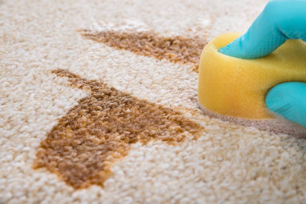 Как почистить ковролин в домашних условиях от грязи, пятен и запаха, в том числе не снимая с пола