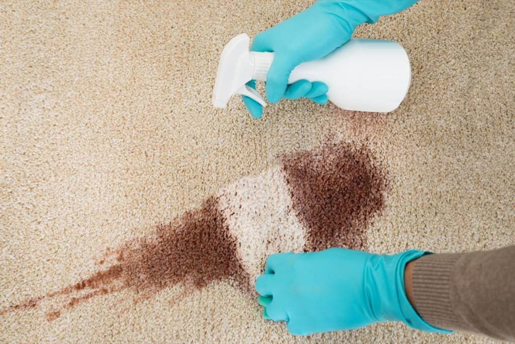 Как почистить ковролин в домашних условиях: чистка ковровых покрытий, чем очистить и мыть. чем отмыть, средство, уборка в домашних условиях, сухая чистка, фото и видео