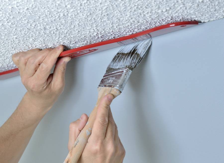 Как подготовить стены под покраску водоэмульсионной краской своими руками