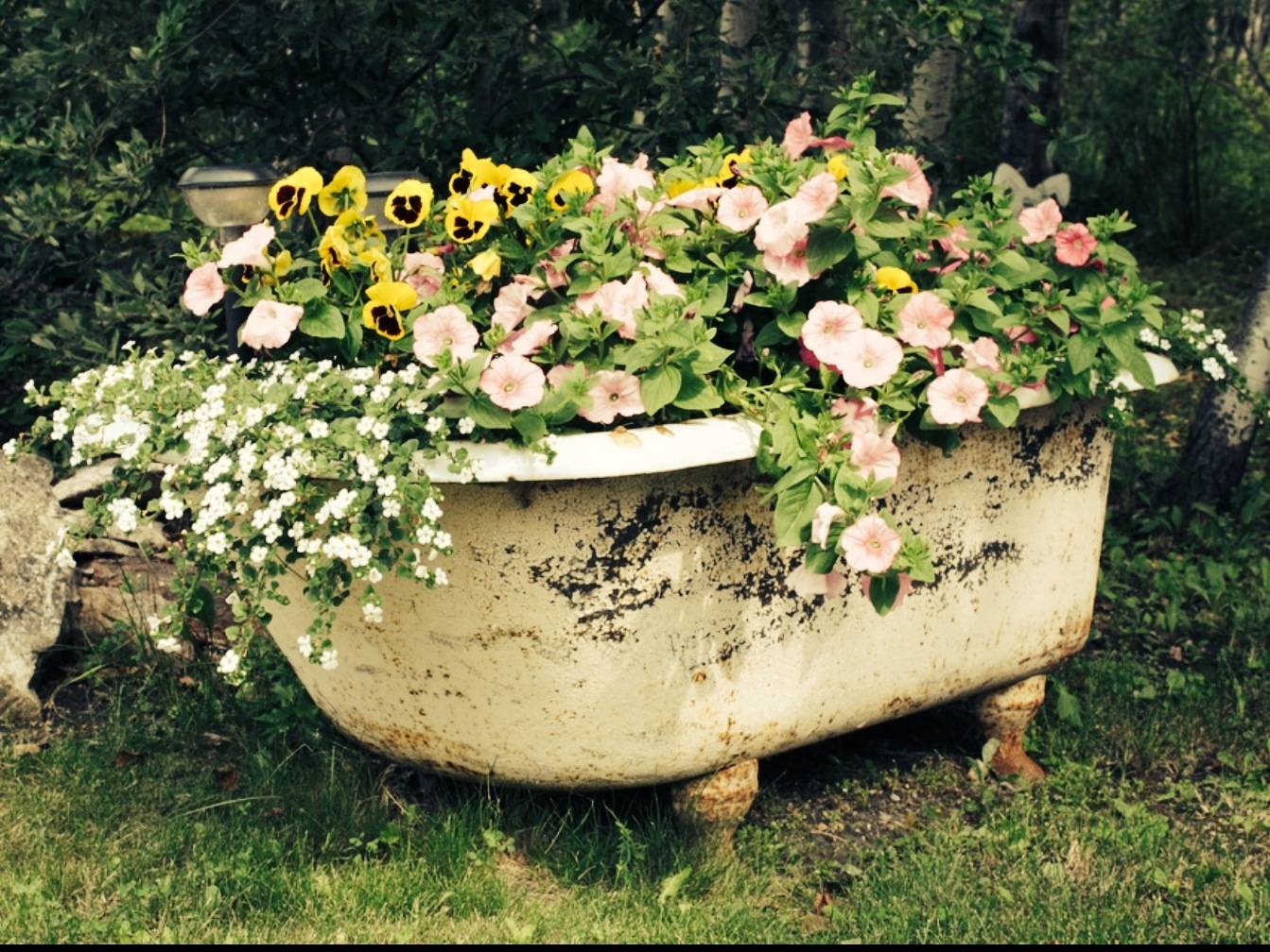 Старая металлическая ванна – 5:2 в пользу переезда на дачу