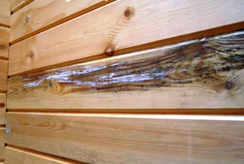 Как убрать плесень с деревянных поверхностей, избавить доски